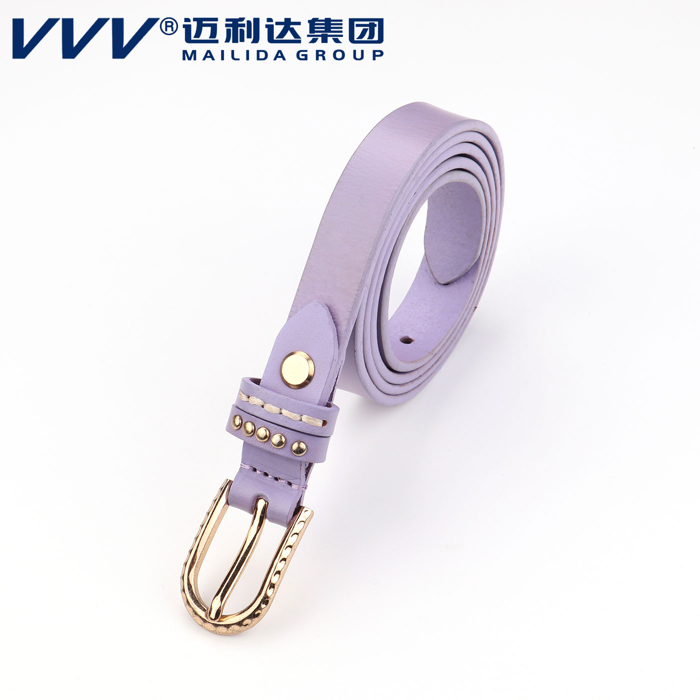 多乐棋牌游戏:柏林我国文明中心举行文明沙龙“马年说马知风俗”